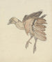 Dead Bird - Theo van Hoytema — artwork view