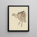 Dead Bird - Theo van Hoytema — framed artwork on a wall