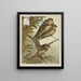 Three Swallows - Theo van Hoytema — framed artwork on a wall