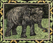 Elephant with a bottle - Theo van Hoytema — artwork view