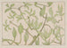 Young leaves and buds - Theo van Hoytema — artwork view