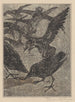Ravens in the snow - Theo van Hoytema — artwork view