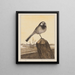 Bergeronnette sur un poteau - Theo van Hoytema — framed artwork on a wall