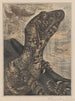 Iguana Painting - Theo van Hoytema — artwork view