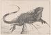 Lizard on a stone in the water - Theo van Hoytema — artwork view