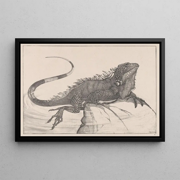 Lizard on a stone in the water - Theo van Hoytema — framed artwork on a wall