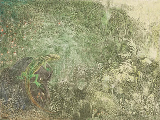 Lizard on a stone - Theo van Hoytema — artwork view