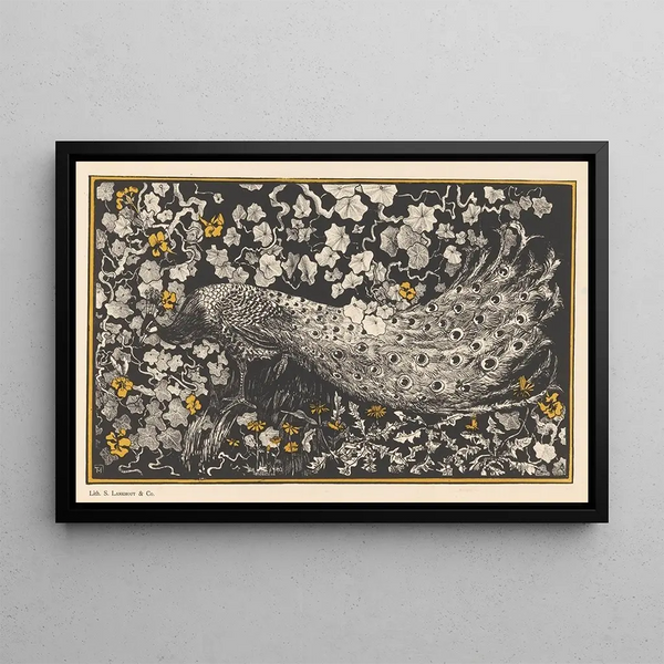Peacock - Theo van Hoytema — framed artwork on a wall