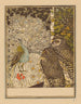 Showing a peacock and two owls - Theo van Hoytema — artwork view