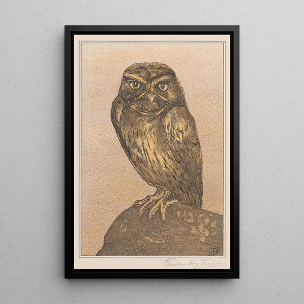 Little Owl on Rock - Theo van Hoytema — framed artwork on a wall