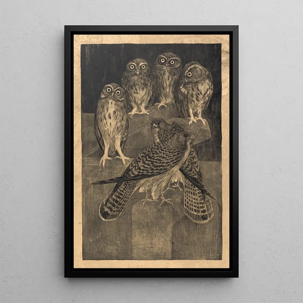 Barn Owls and Common Kestrels - Theo van Hoytema — framed artwork on a wall