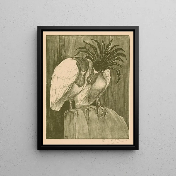 Two herons with stilt beak - Theo van Hoytema — framed artwork on a wall