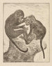 Two Monkeys with Fleas - Theo van Hoytema — artwork view