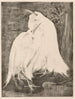 Two Egrets - Theo van Hoytema — artwork view