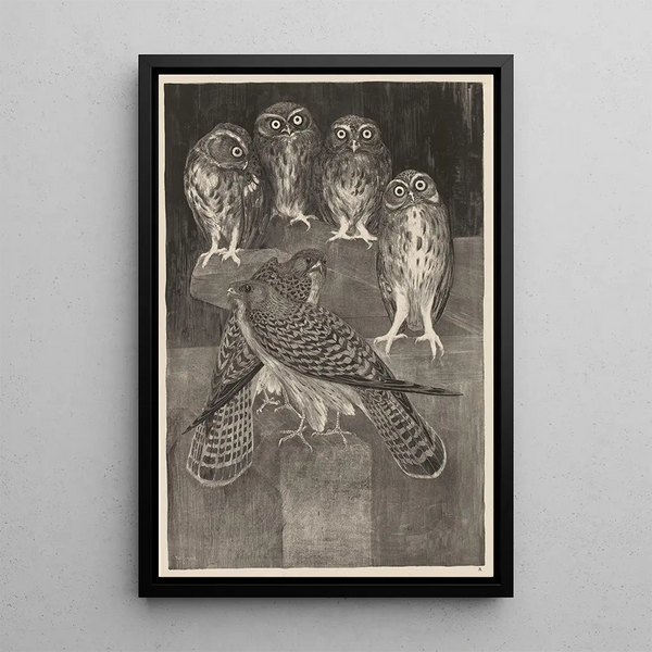 Four Little Owls and Two Common Kestrels - Theo van Hoytema — framed artwork on a wall