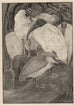 Five ibises and one heron - Theo van Hoytema — artwork view