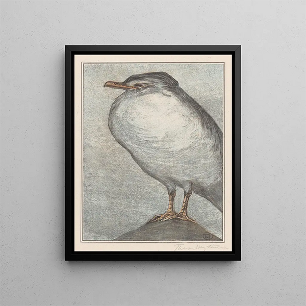 Goéland argenté - Theo van Hoytema — framed artwork on a wall