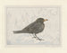 Blackbird Painting - Theo van Hoytema — artwork view