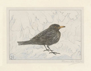 Blackbird Painting - Theo van Hoytema — artwork view