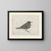 Blackbird Painting - Theo van Hoytema — framed artwork on a wall