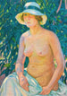 Nude in Panama - Theo van Rysselberghe — artwork view