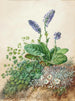 Alpine Flowers Painting - Theodor Petter — artwork view