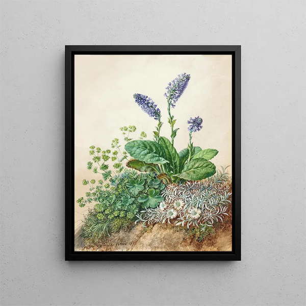 Alpine Flowers Painting - Theodor Petter — framed artwork on a wall