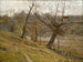 The Blooming of the Grape - Theodore Clement Steele — artwork view