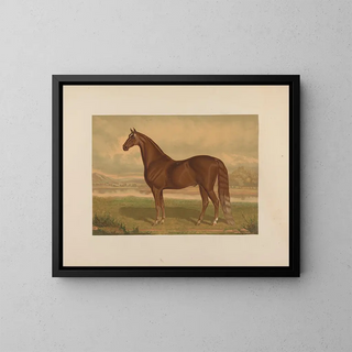 Daniel Lambert - Theodore Marsden — framed artwork on a wall