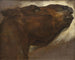 Study of a Dead Horse - Théodore Géricault — artwork view