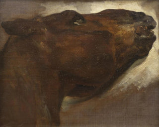 Study of a Dead Horse - Théodore Géricault — artwork view