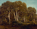 Les grands chênes de l'ancien BasBrau - Théodore Rousseau — artwork view