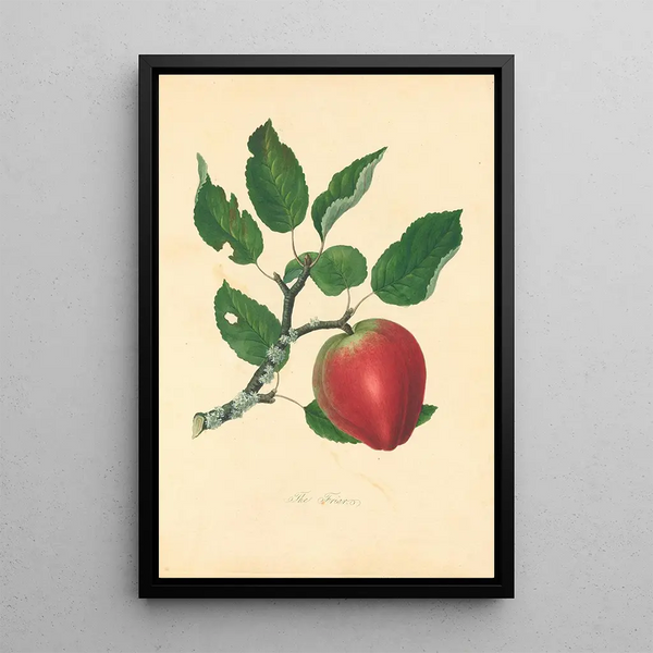 Brother - Thomas Andrew Knight | Painting — framed artwork on a wall