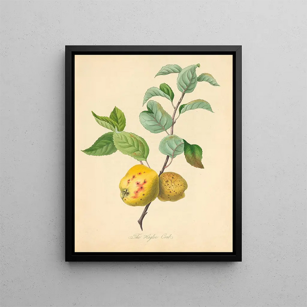 Crab Hagloe - Thomas Andrew Knight — framed artwork on a wall