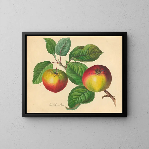 Red Painting Must - Thomas Andrew Knight — framed artwork on a wall