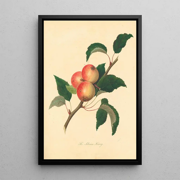 Siberian Harvey Painting - Thomas Andrew Knight — framed artwork on a wall