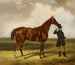 Horse and rider in a landscape - Thomas Barratt de Stockbridge — artwork view