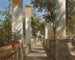 Pergola aux oranges - Thomas Fearnley — artwork view