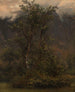 Study of Birches in Romsdal - Thomas Fearnley — artwork view