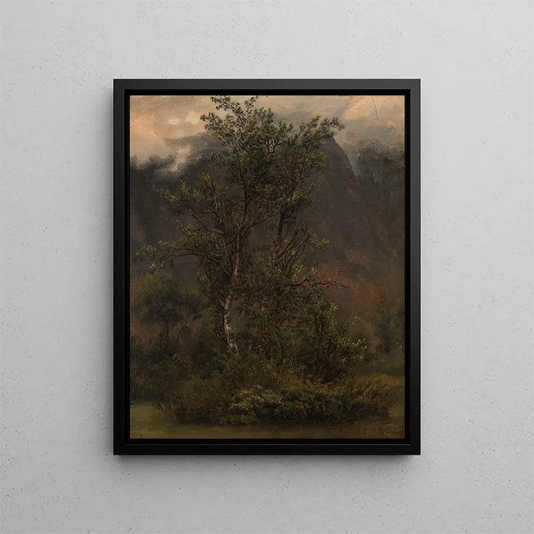 Study of Birches in Romsdal - Thomas Fearnley — framed artwork on a wall