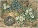 Nature morte avec un nid d'oiseaux, des violettes, des primevères et des fleurs de pommier - Thomas Frederick Collier — artwork view