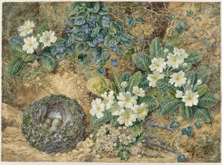 Nature morte avec un nid d'oiseaux, des violettes, des primevères et des fleurs de pommier - Thomas Frederick Collier — artwork view
