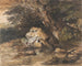 a forest pond with rocks and plants - Thomas Gainsborough — artwork view