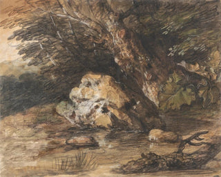 a forest pond with rocks and plants - Thomas Gainsborough — artwork view