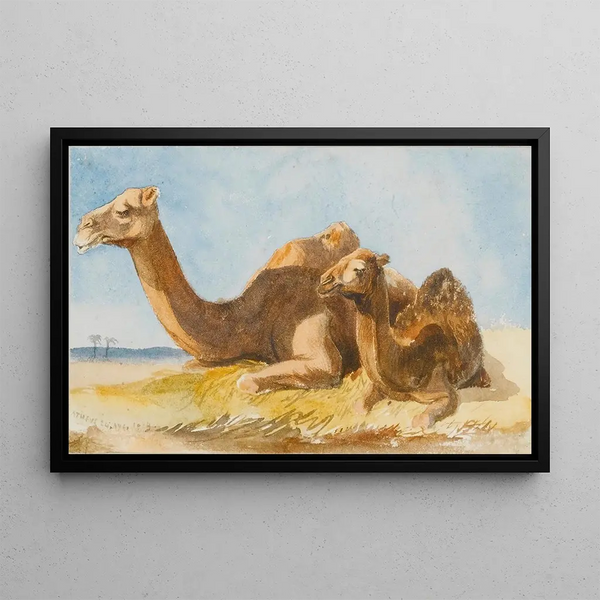 Two Camels - Thomas Hartley Cromek — framed artwork on a wall