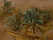 Study of Plants on a Rocky Wall - Thomas Hiram Hotchkiss — artwork view