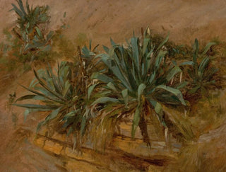 Study of Plants on a Rocky Wall - Thomas Hiram Hotchkiss — artwork view