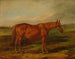 Picayune dans un paysage - Thomas Scott — artwork view