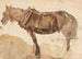 A close-up view of a harnessed horse - Thomas Sidney Cooper — artwork view
