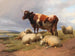 Livestock and sheep in a meadow in a vast landscape - Thomas Sidney Cooper — artwork view